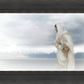 The Bridegroom Cometh