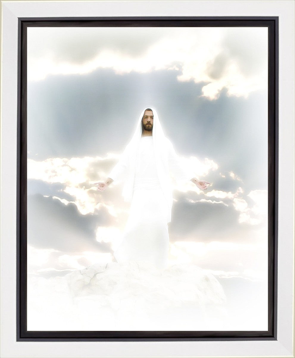 Behold Gallery Wrap