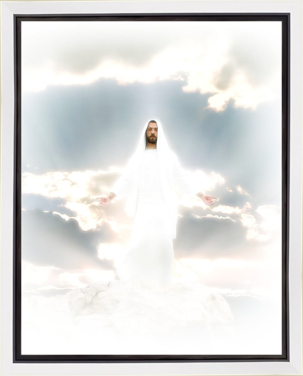 Behold Gallery Wrap