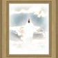 Behold