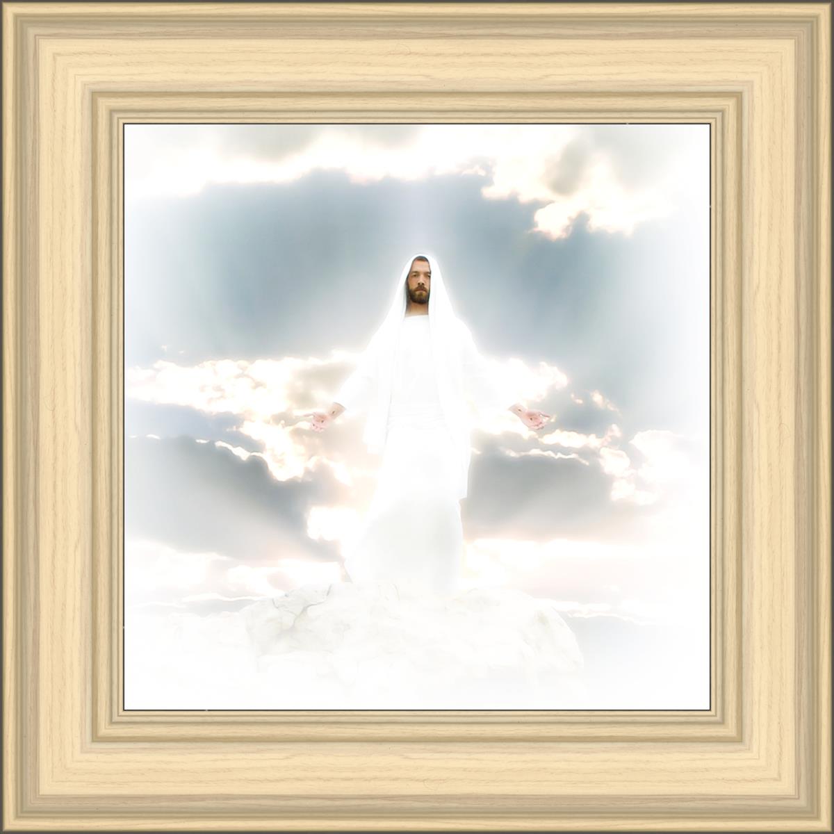 Behold