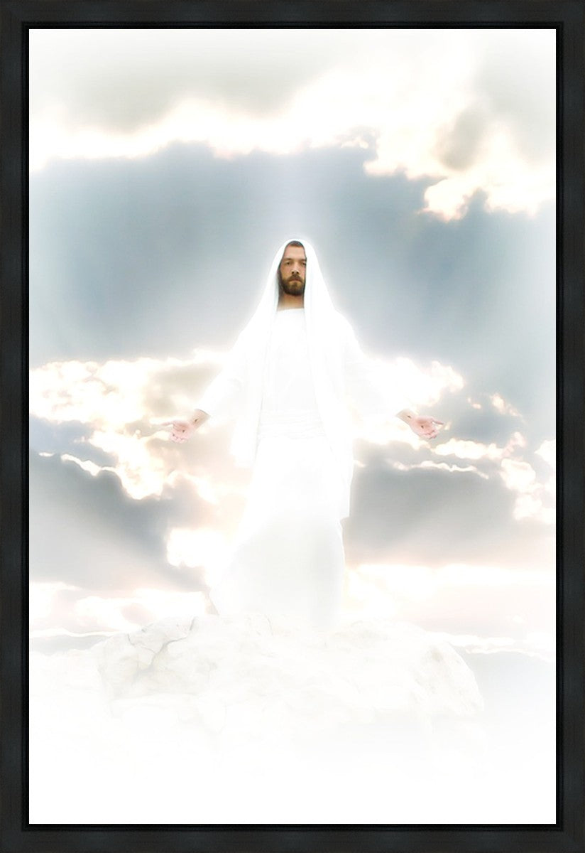 Behold Gallery Wrap