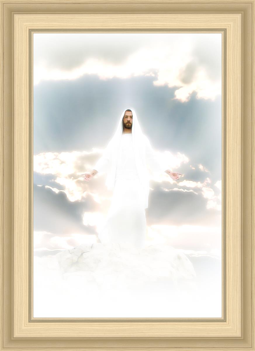 Behold