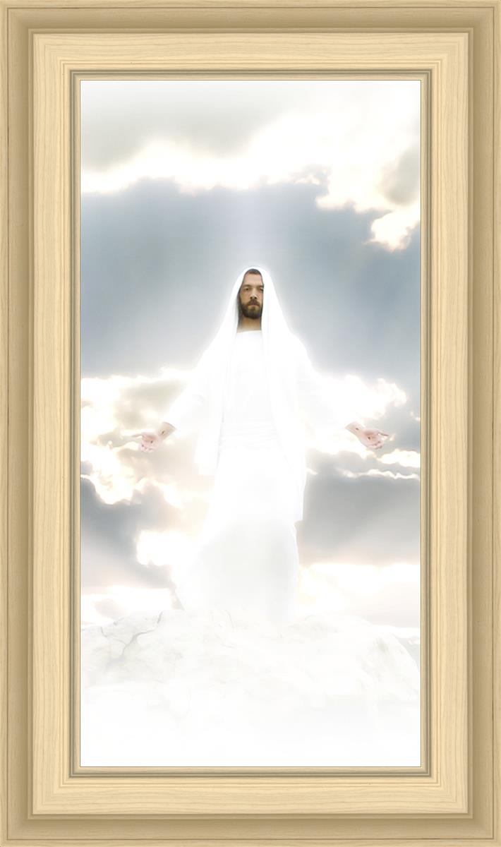 Behold