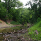 The Creek_Hauns Mill