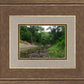 The Creek_Hauns Mill
