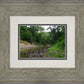 The Creek_Hauns Mill