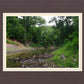 The Creek_Hauns Mill
