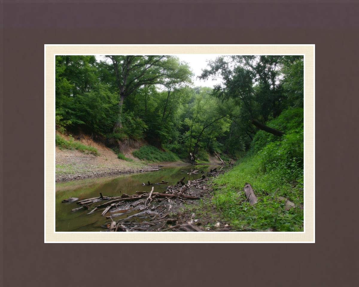 The Creek_Hauns Mill