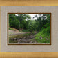 The Creek_Hauns Mill