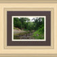The Creek_Hauns Mill