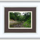The Creek_Hauns Mill
