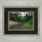 The Creek_Hauns Mill