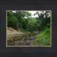 The Creek_Hauns Mill
