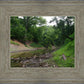 The Creek_Hauns Mill