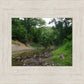 The Creek_Hauns Mill