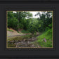 The Creek_Hauns Mill