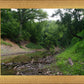 The Creek_Hauns Mill