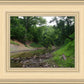 The Creek_Hauns Mill