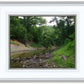The Creek_Hauns Mill