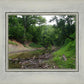 The Creek_Hauns Mill
