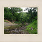 The Creek_Hauns Mill
