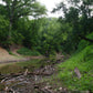 The Creek_Hauns Mill