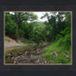 The Creek_Hauns Mill