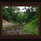The Creek_Hauns Mill