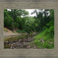 The Creek_Hauns Mill
