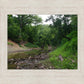 The Creek_Hauns Mill