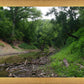 The Creek_Hauns Mill