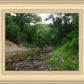 The Creek_Hauns Mill