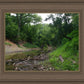 The Creek_Hauns Mill
