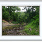 The Creek_Hauns Mill