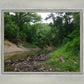 The Creek_Hauns Mill