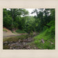 The Creek_Hauns Mill