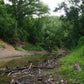 The Creek_Hauns Mill