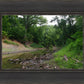 The Creek_Hauns Mill