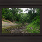 The Creek_Hauns Mill
