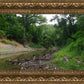 The Creek_Hauns Mill