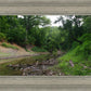 The Creek_Hauns Mill