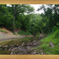 The Creek_Hauns Mill