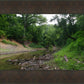 The Creek_Hauns Mill