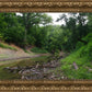 The Creek_Hauns Mill