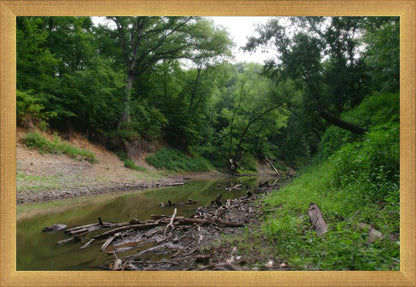 The Creek_Hauns Mill