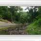 The Creek_Hauns Mill