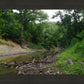 The Creek_Hauns Mill