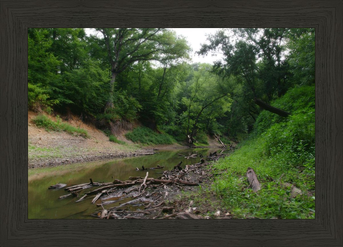 The Creek_Hauns Mill