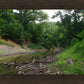 The Creek_Hauns Mill